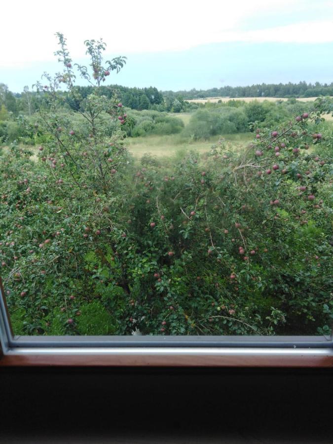 Hotel Viesu Maja Manturi Peipini Zewnętrze zdjęcie